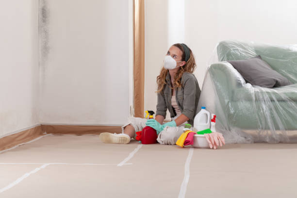 Reliable Mold Cleanup contractor in Little Falls, NJ by Cheap Mold Removal